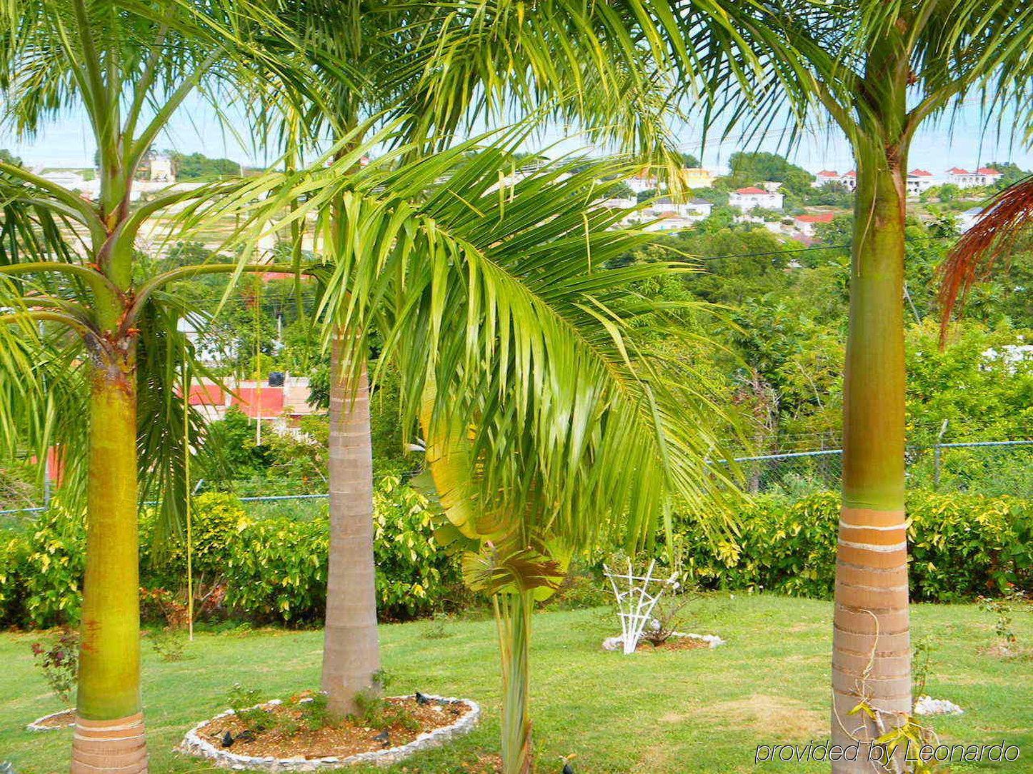 Emerald View Resort Villa Монтего-Бей Екстер'єр фото