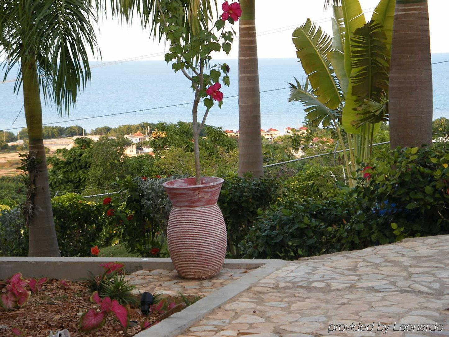 Emerald View Resort Villa Монтего-Бей Екстер'єр фото